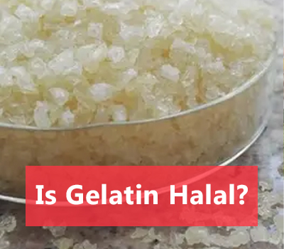 halal gelatin free